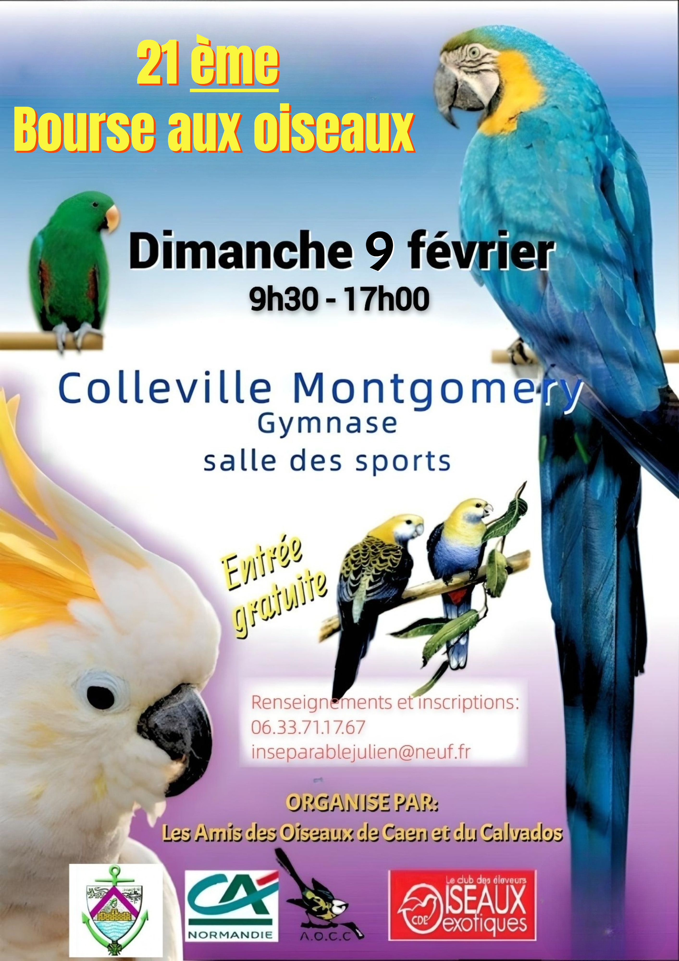 Created with GIMP